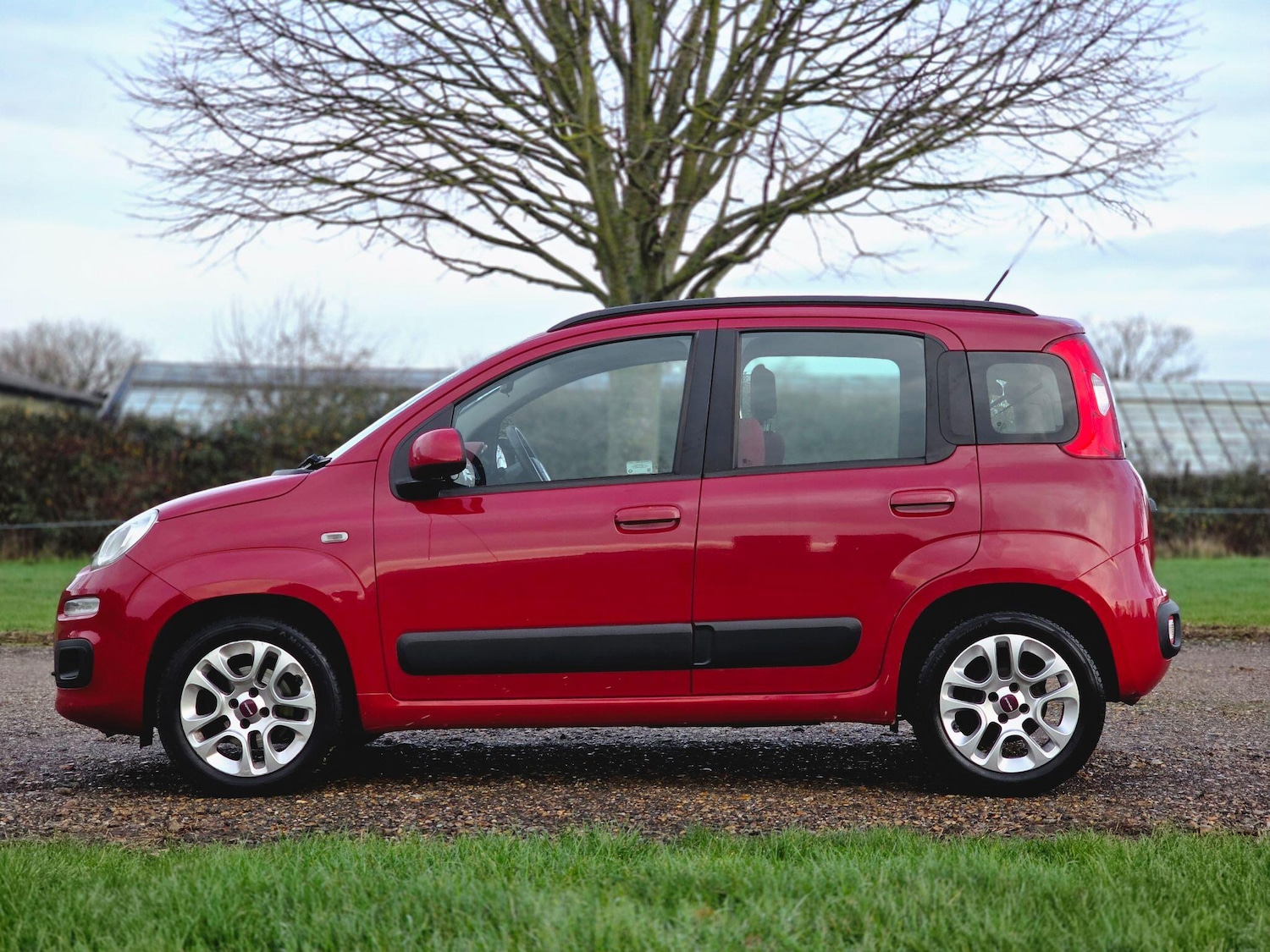 Used Fiat Panda 2014 for sale - 76996796: Photo 13