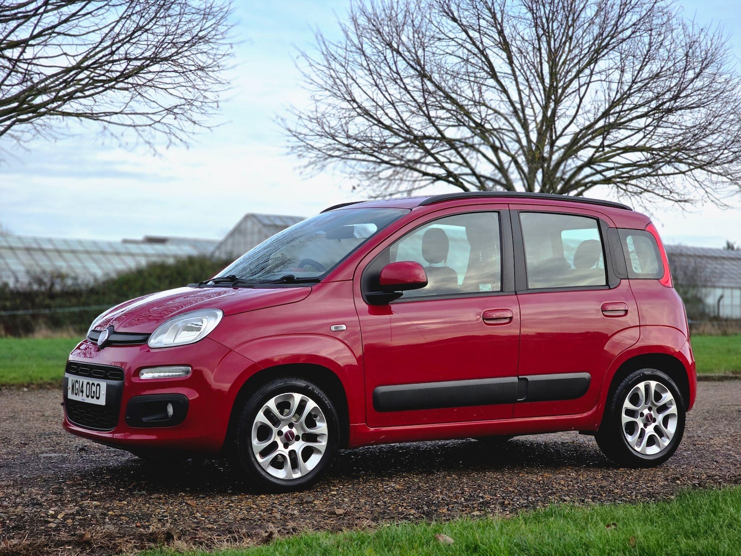 Used Fiat Panda 2014 for sale - 76996796: Photo 14