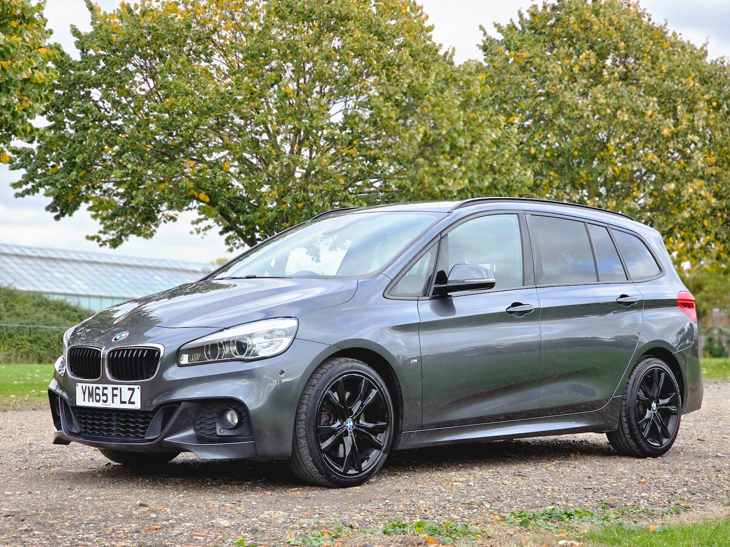 Used BMW 2 Series 2016 for sale - 76995746: Photo 13