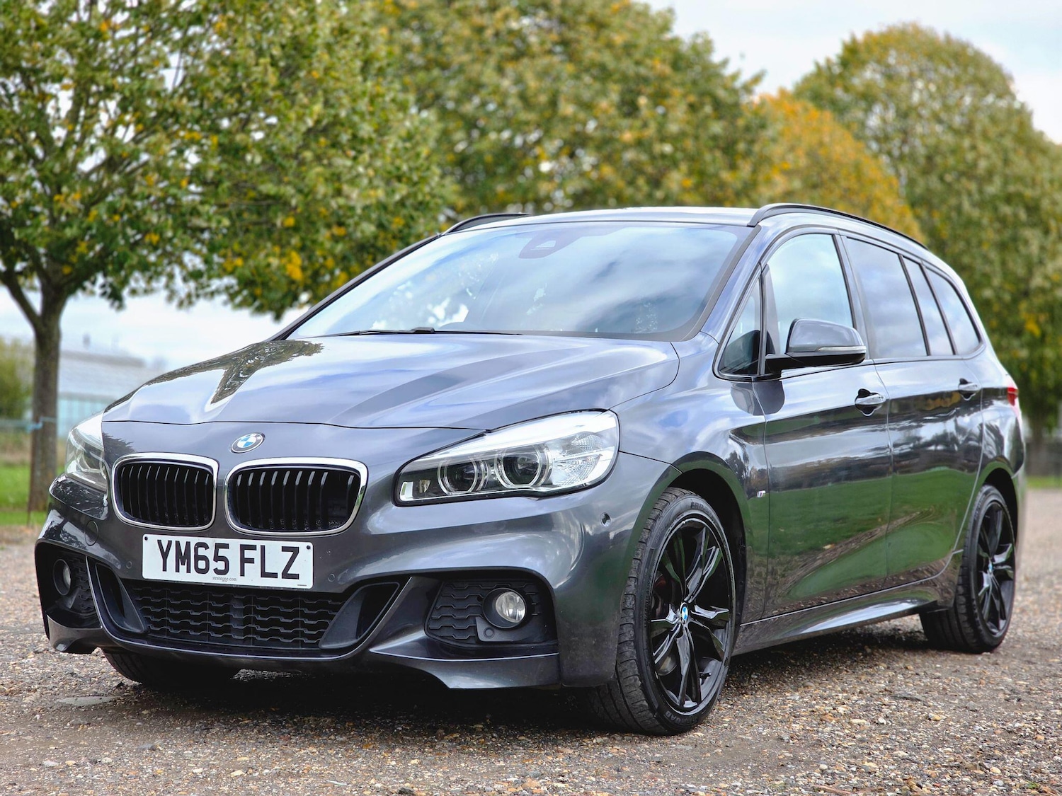 Used BMW 2 Series 2016 for sale - 76995746: Photo 14