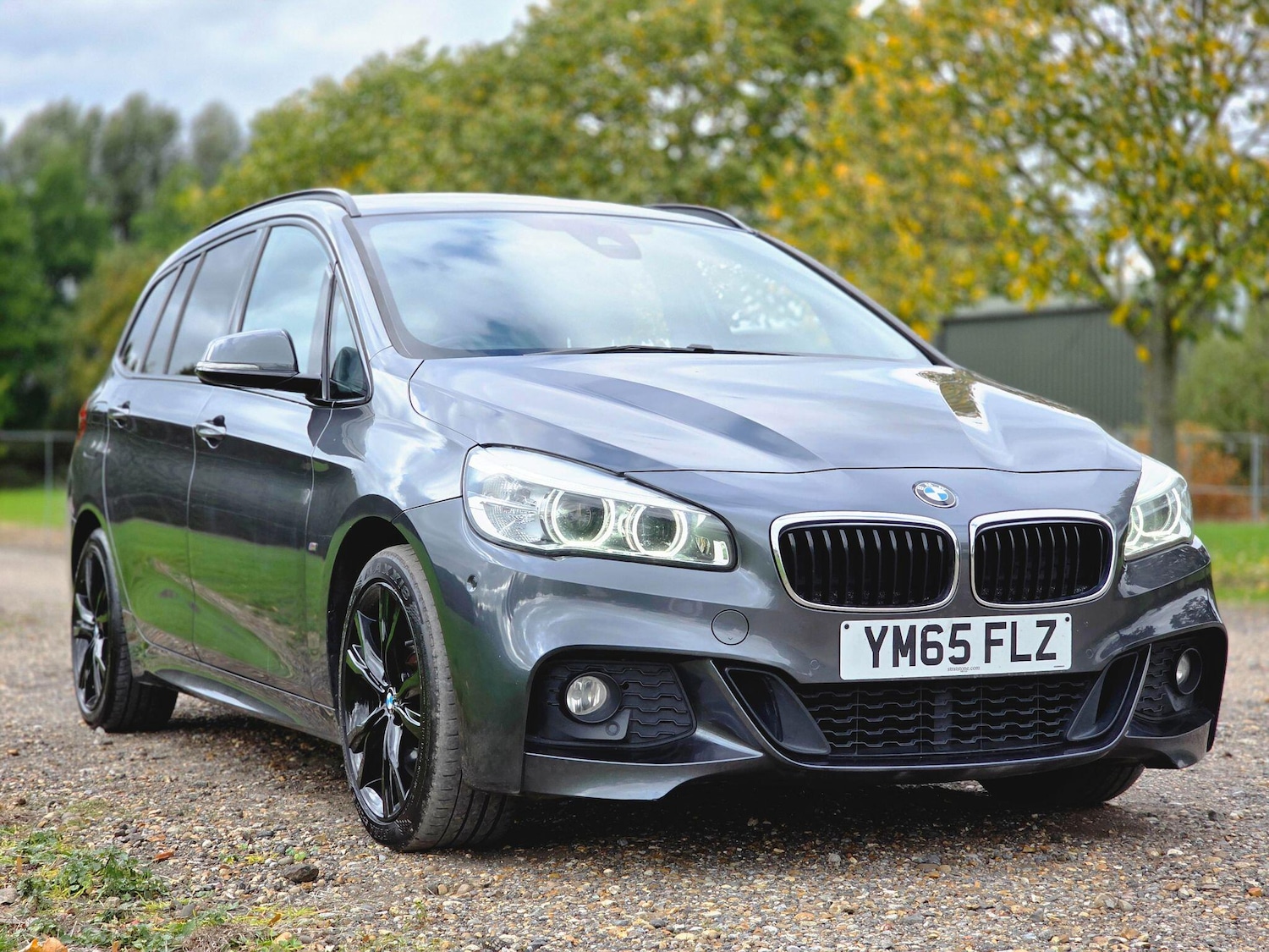 Used BMW 2 Series 2016 for sale - 76995746: Photo 16