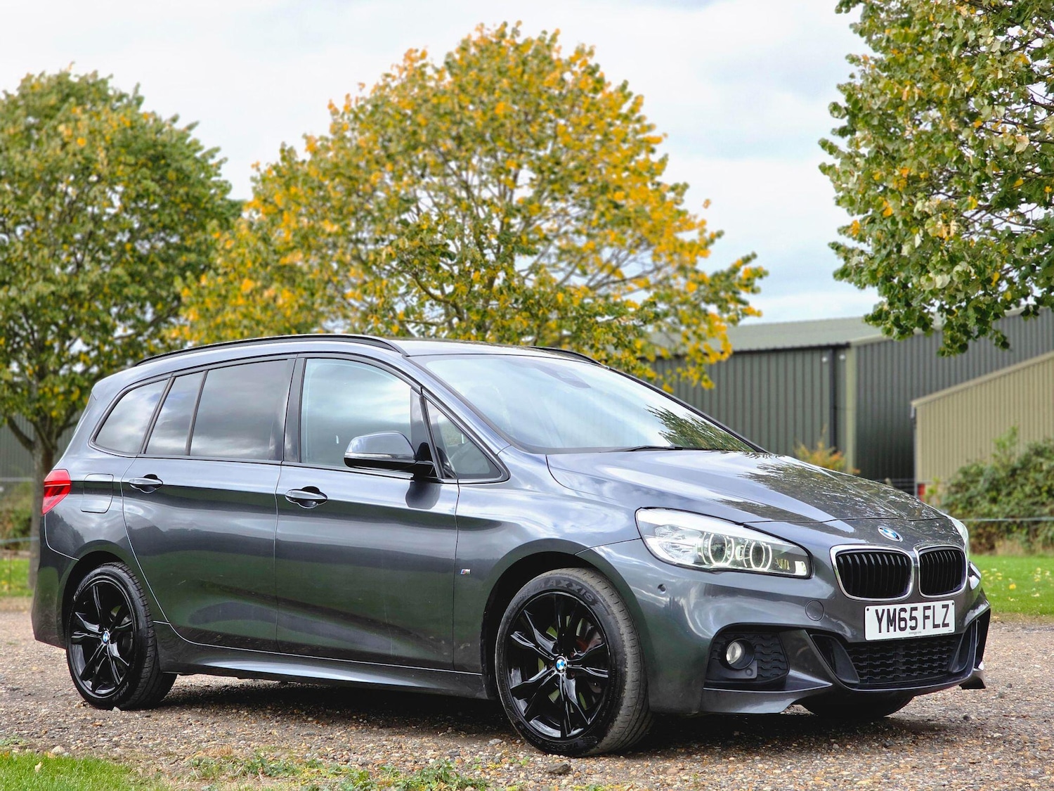 Used BMW 2 Series 2016 for sale - 76995746: Photo 2