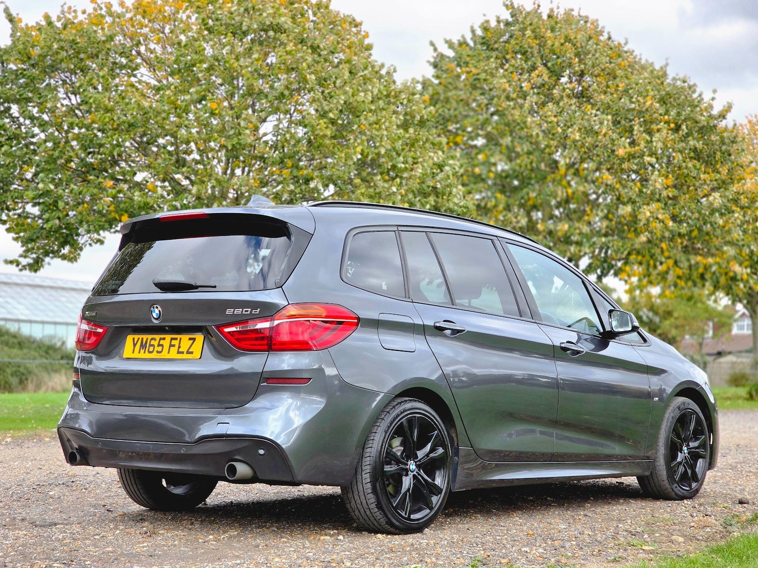 Used BMW 2 Series 2016 for sale - 76995746: Photo 6