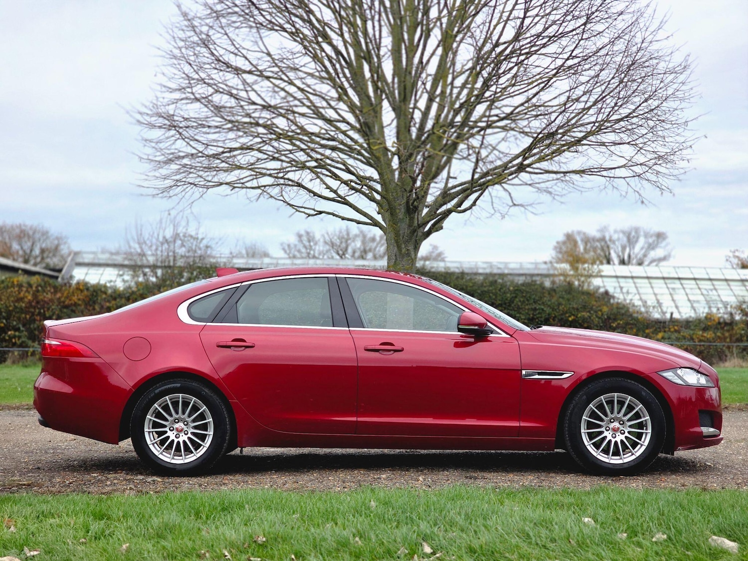 Used Jaguar XF 2017 for sale - 76839823: Photo 3