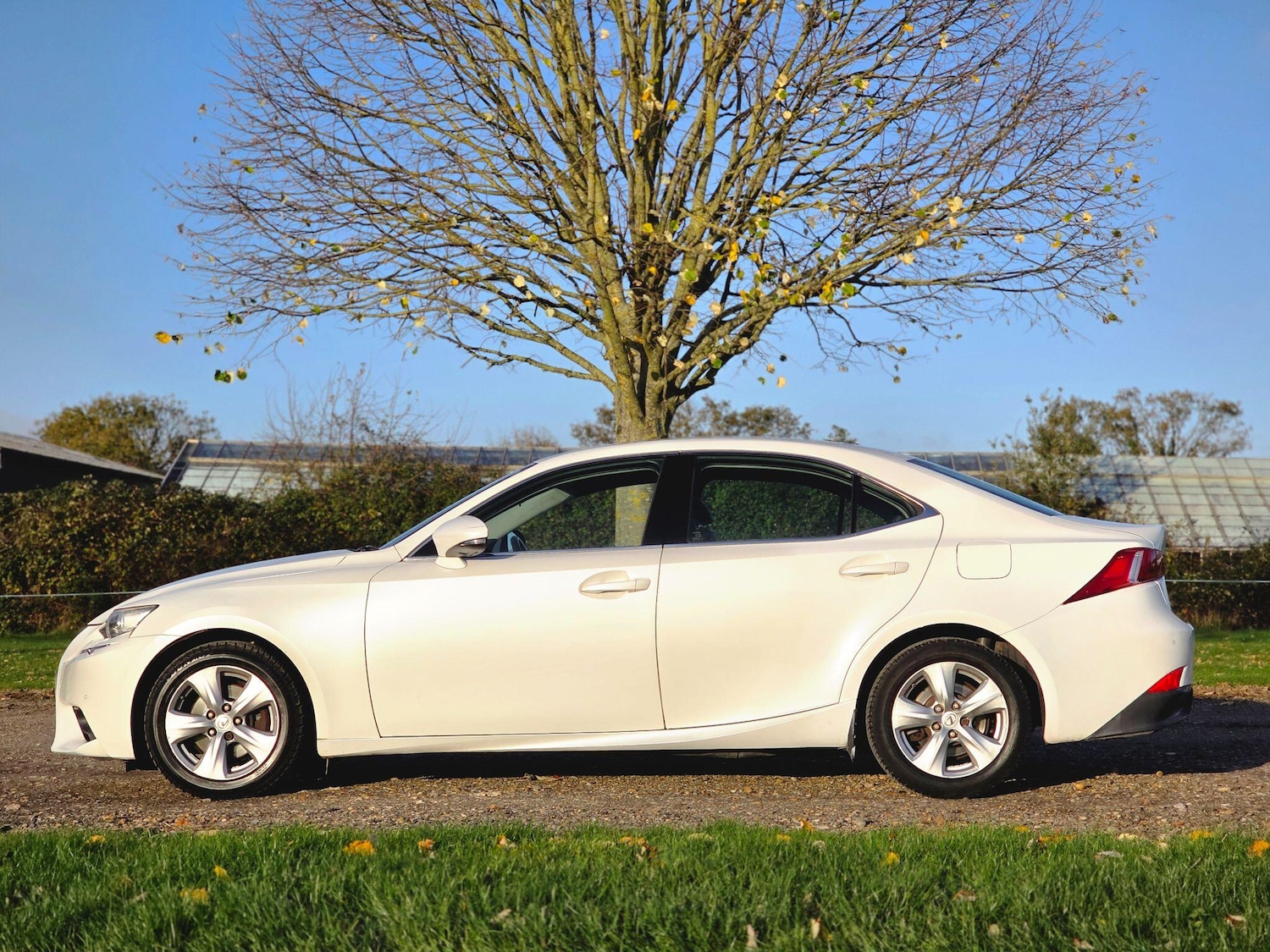 Used Lexus IS 2014 for sale - 76996452: Photo 13