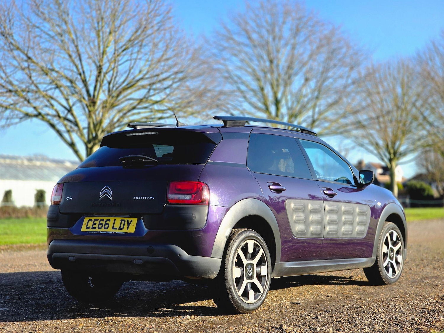 Used Citroen C4 Cactus 2017 for sale - 77395970: Photo 6