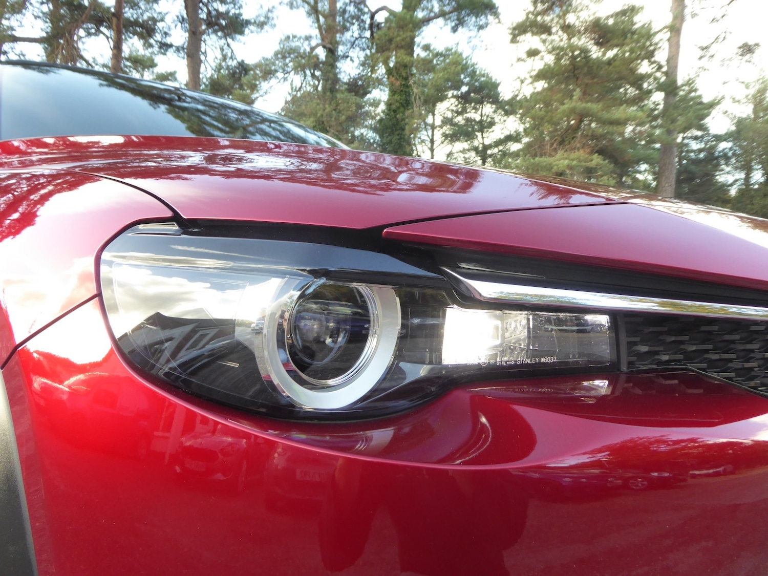 Used Mazda MX-30 2021 for sale - 76396975: Photo 41