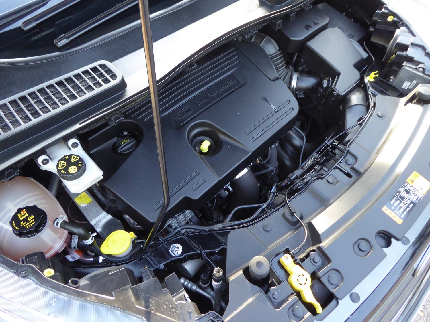 Used Ford Kuga 2019 for sale - 76082681: Photo 47