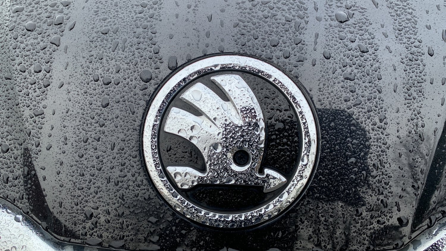 Used Skoda Kodiaq 2023 for sale - 77427021: Photo 26