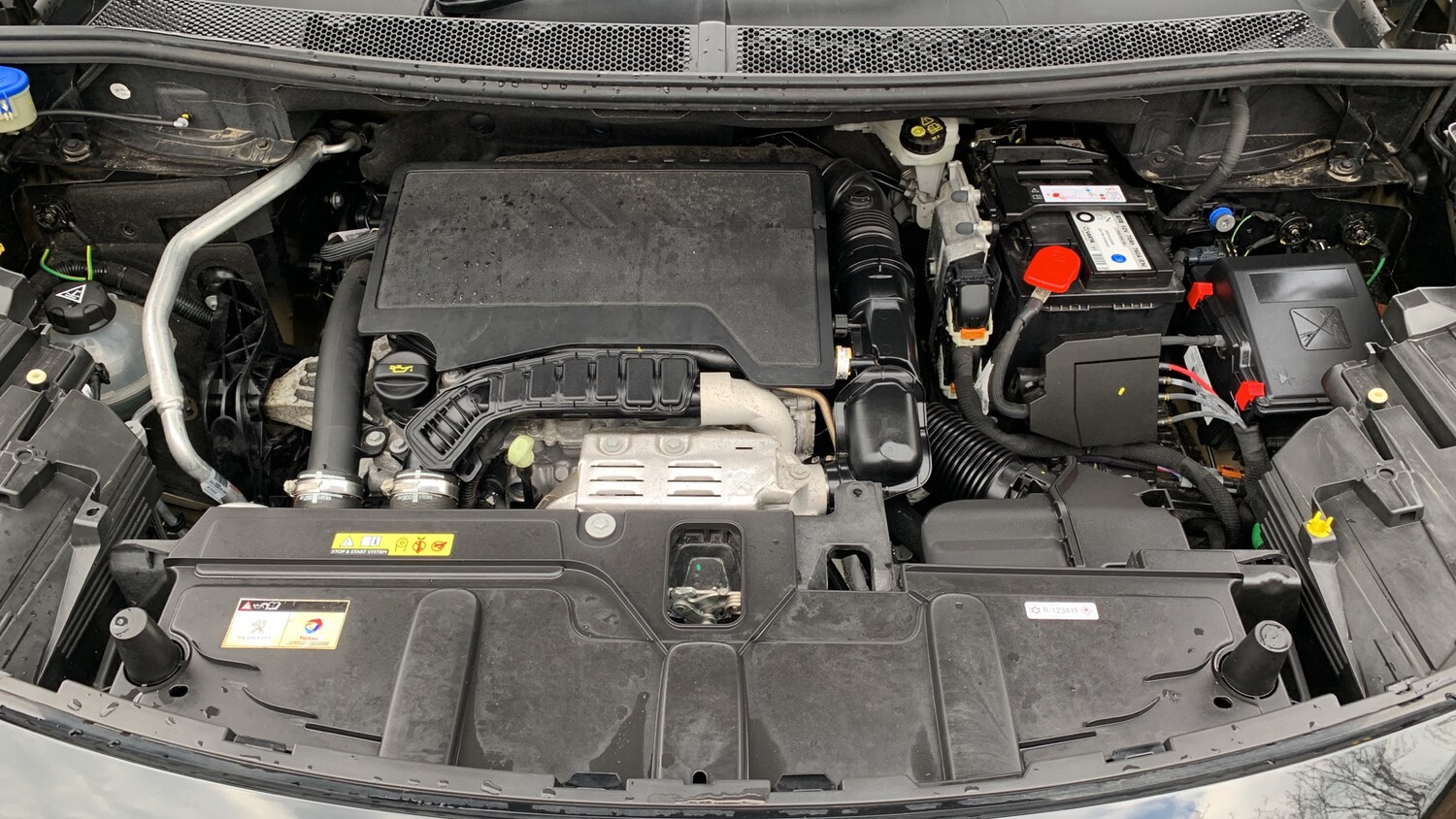 Used Peugeot 3008 2022 for sale - 77659714: Photo 18