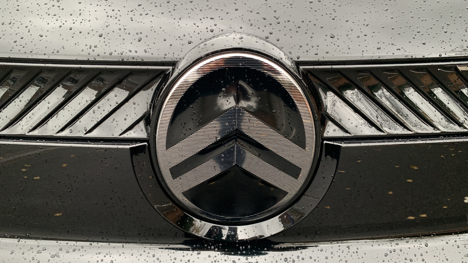 Used Citroen Berlingo 2024 for sale - 76759975: Photo 26