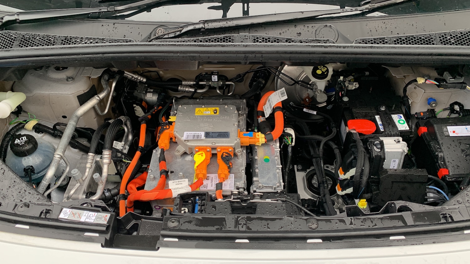 Used Citroen Berlingo 2025 for sale - 76759976: Photo 18