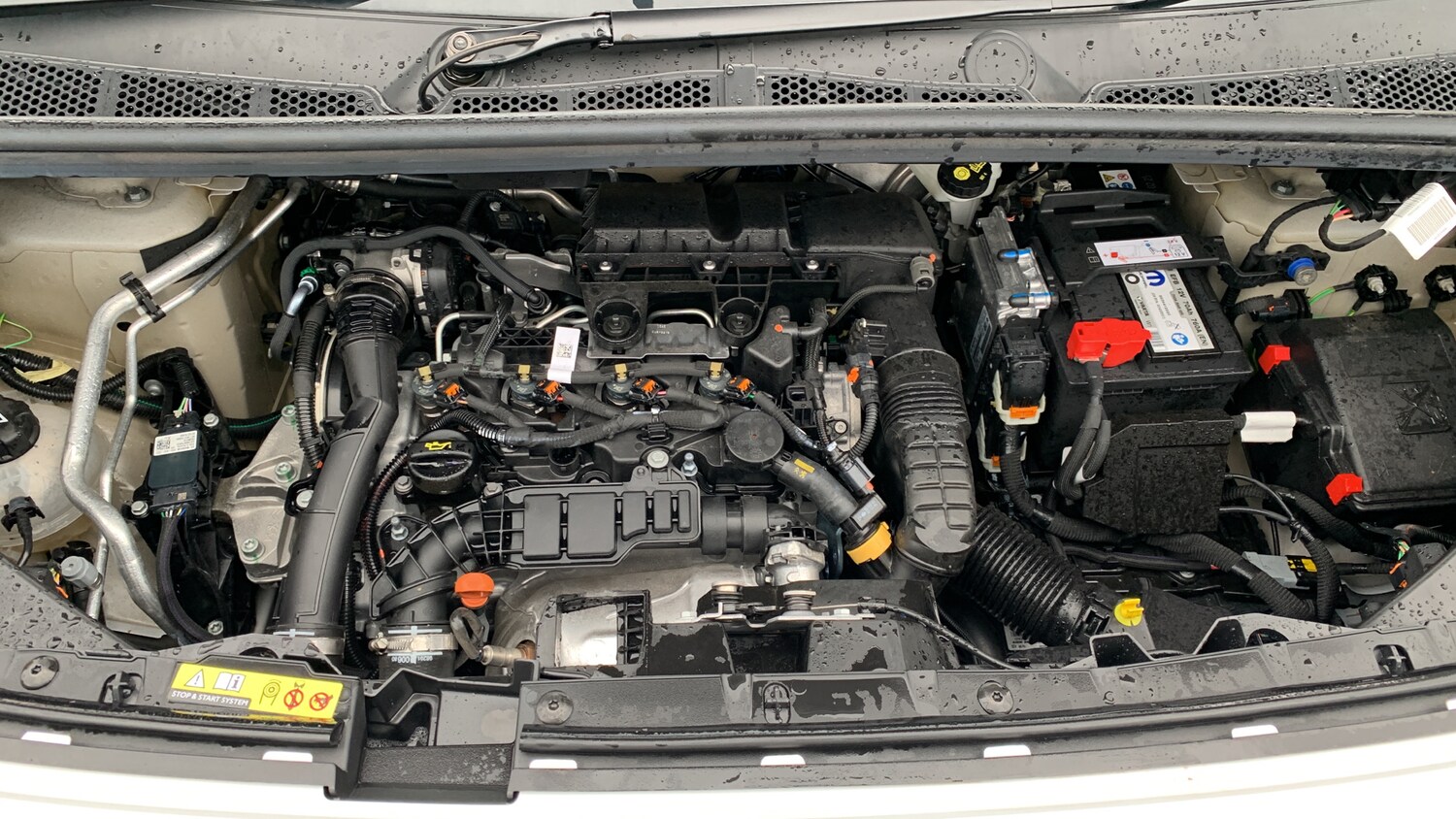 Used Citroen Berlingo 2025 for sale - 76327684: Photo 18