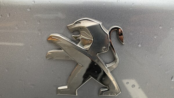 Used Peugeot 2008 2021 for sale - 76327669: Photo 26