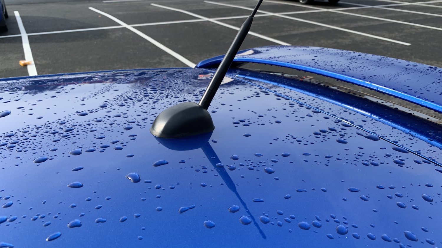 Used Suzuki Swift 2016 for sale - 76378418: Photo 48