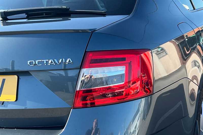 Used Skoda Octavia 2019 for sale - 77812327: Photo 32