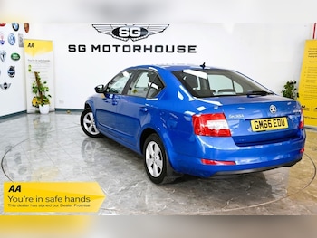 Used Skoda Octavia 2017 for sale - 76586592: Photo