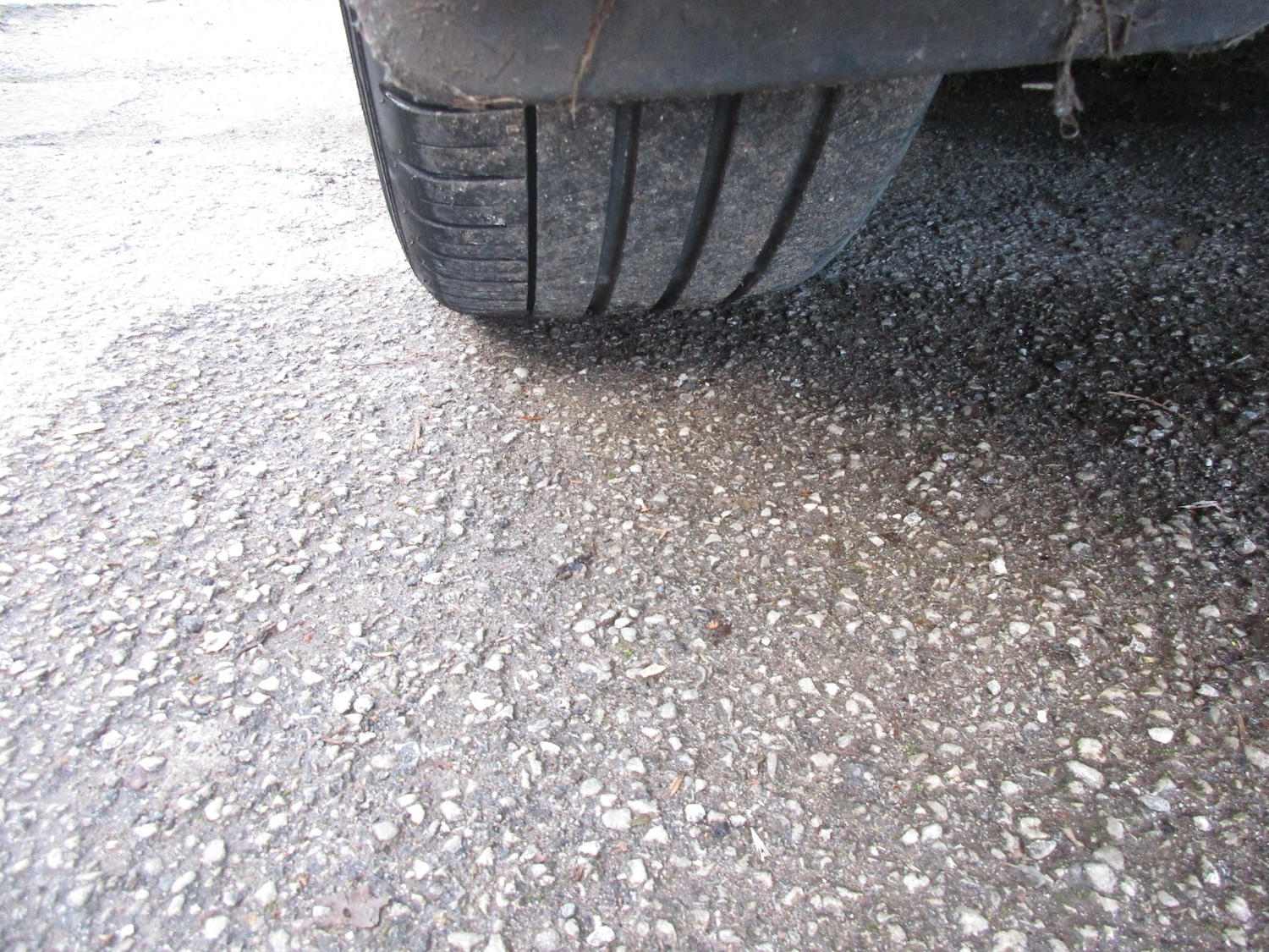 Used Toyota Prius 2009 for sale - 77976011: Photo 21