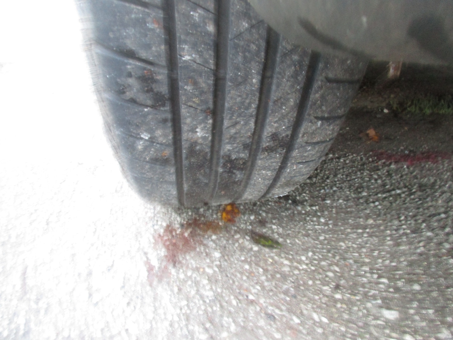 Used MINI Clubman 2014 for sale - 76924127: Photo 28