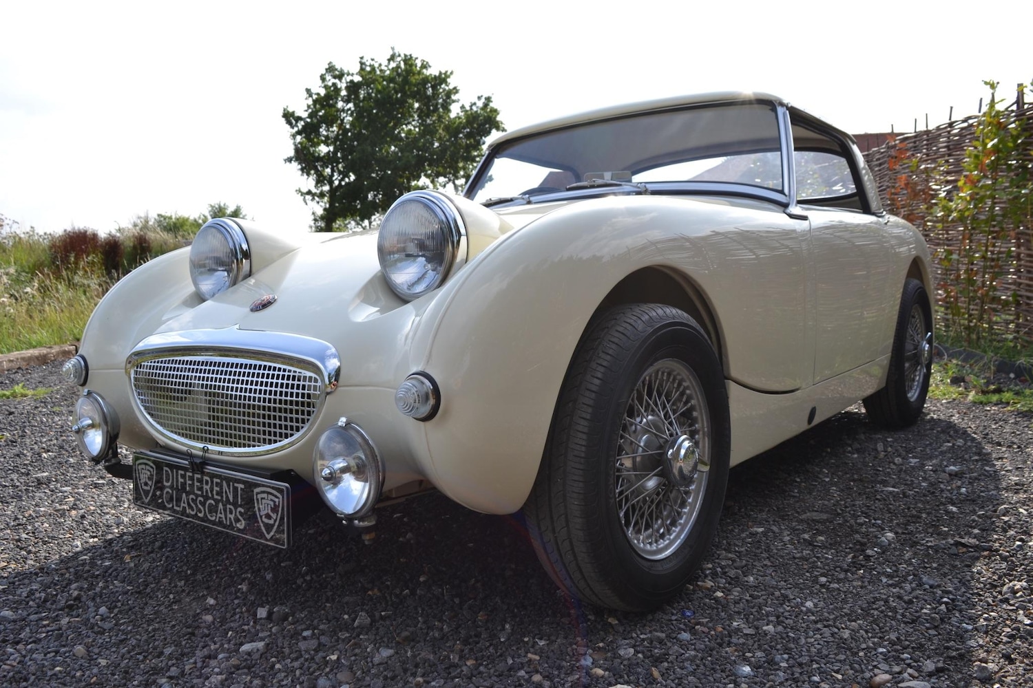 Used Austin Healey 1961 for sale - 76377755: Photo 13