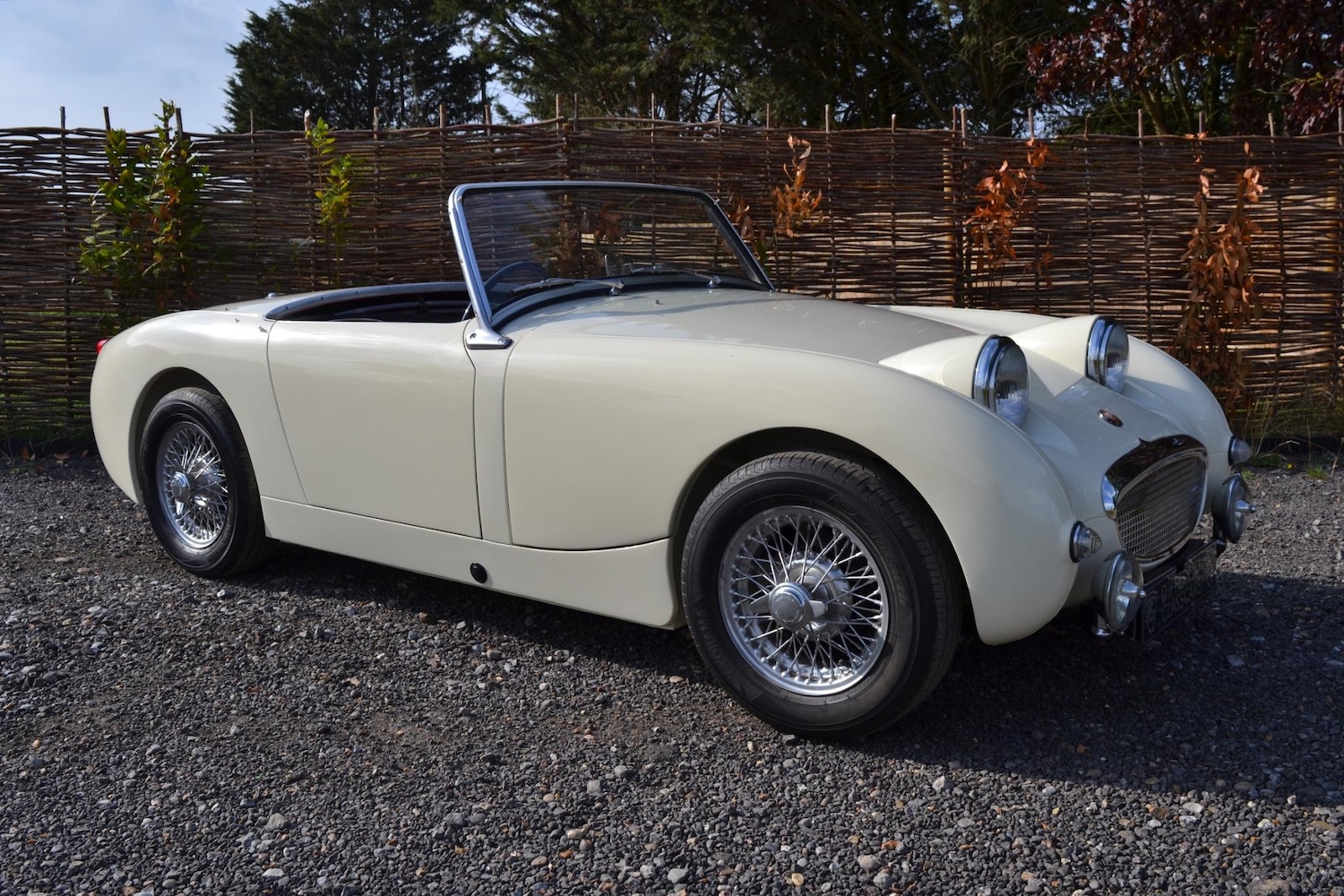 Used Austin Healey 1961 for sale - 76377755: Photo 18