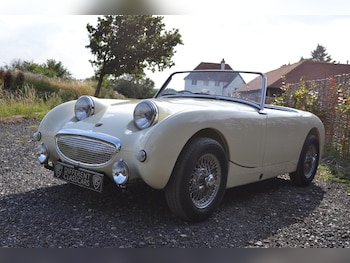 Used Austin Healey 1961 for sale - 76377755: Photo