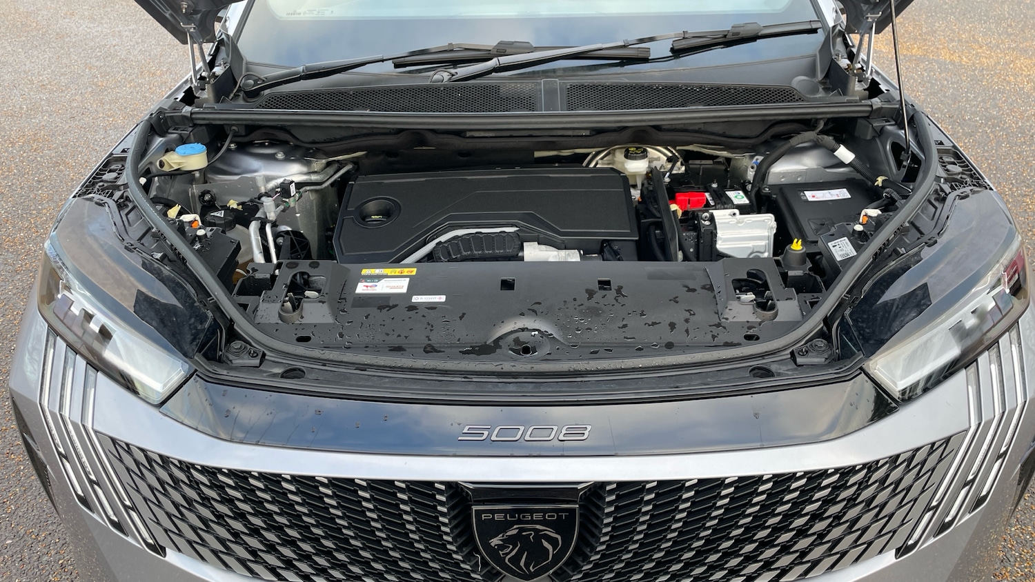 Used Peugeot 5008 2024 for sale - 77565347: Photo 18