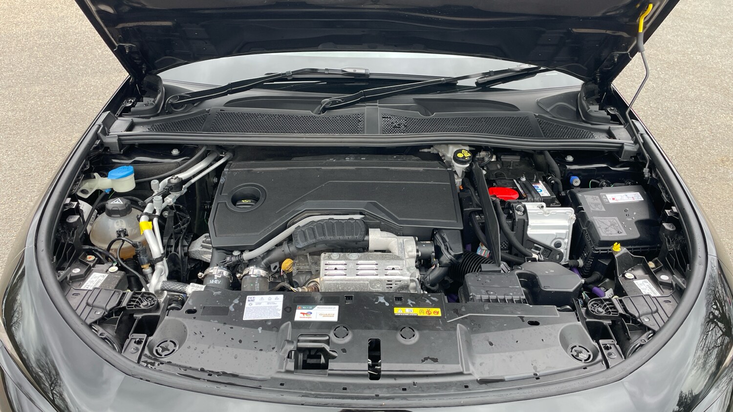 Used Peugeot 308 2025 for sale - 77770387: Photo 18