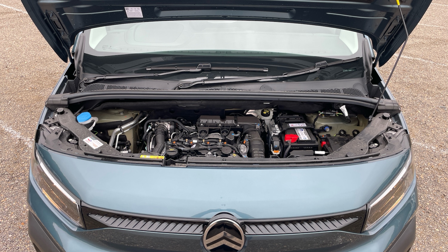 Used Citroen Berlingo 2025 for sale - 76486439: Photo 18