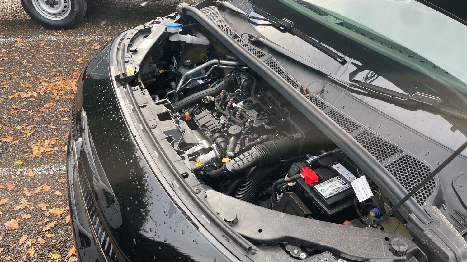 Used Citroen Berlingo 2025 for sale - 76433776: Photo 18