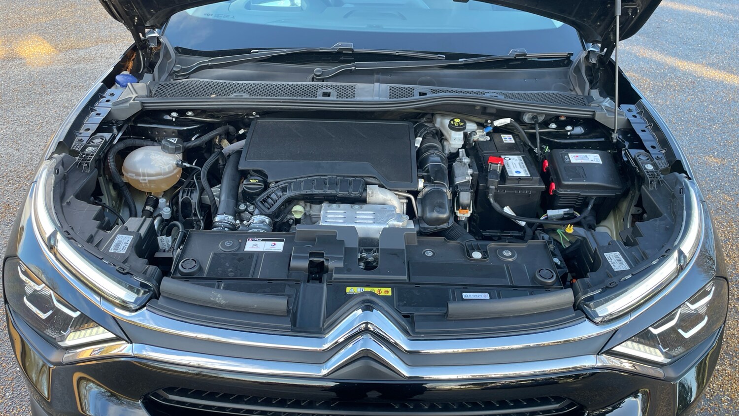 Used Citroen C4 2022 for sale - 77497937: Photo 18