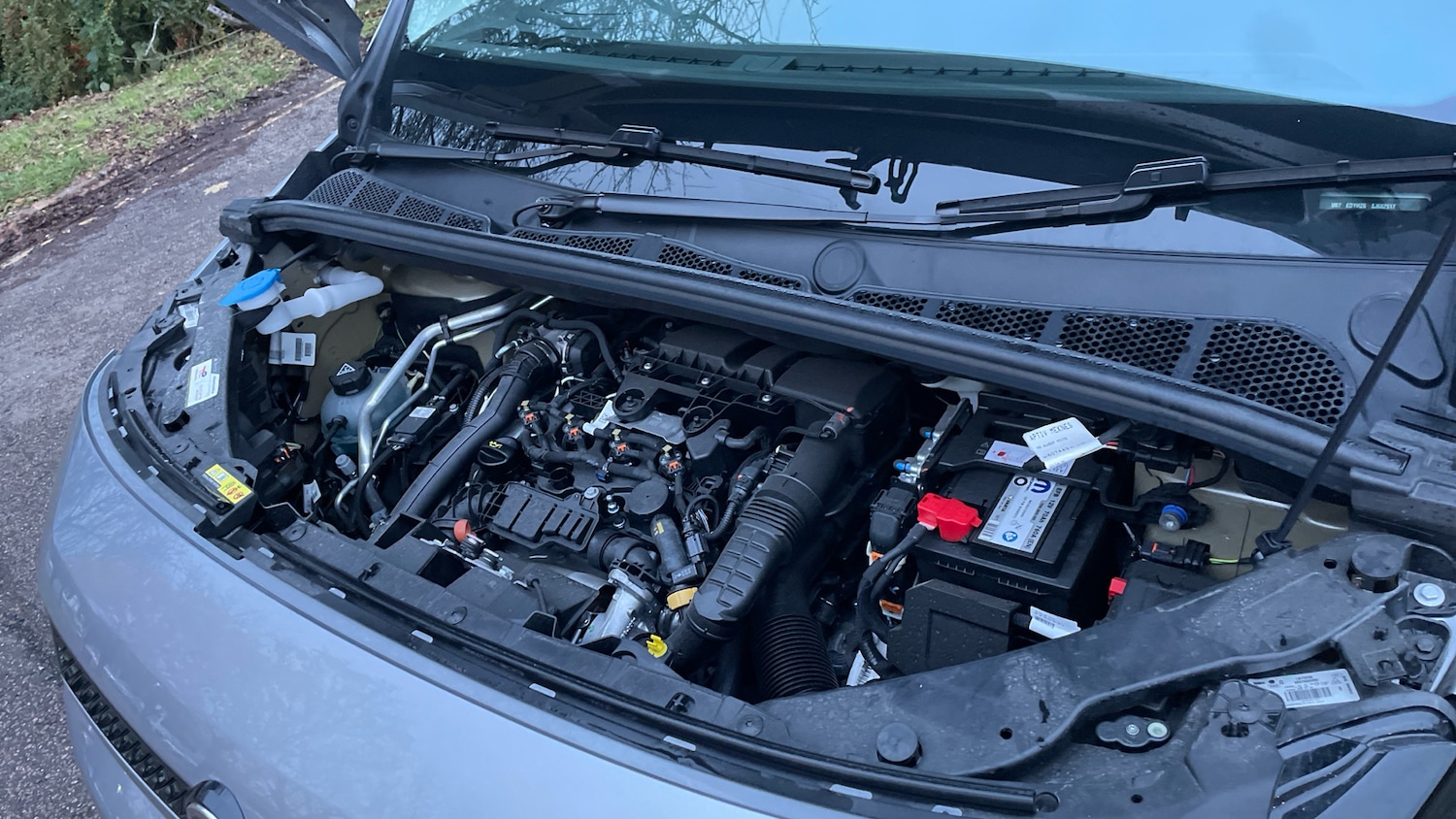 Used Citroen Berlingo 2025 for sale - 76887889: Photo 18