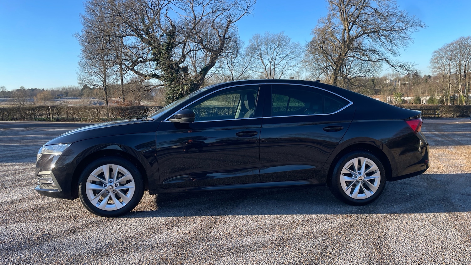 Used Skoda Octavia 2021 for sale - 77110103: Photo 7