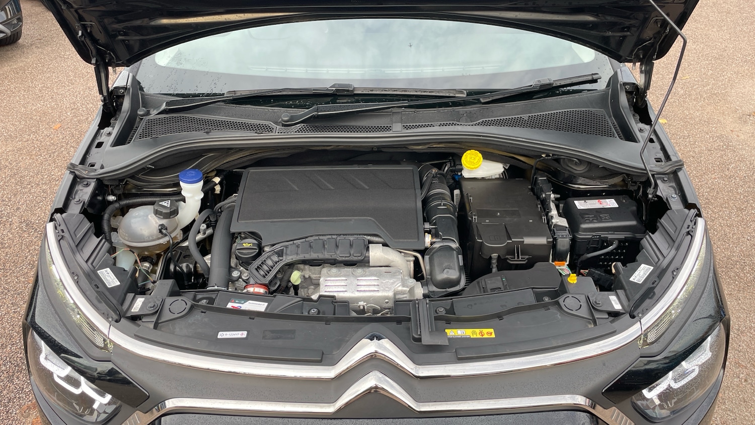 Used Citroen C3 2024 for sale - 76486427: Photo 18