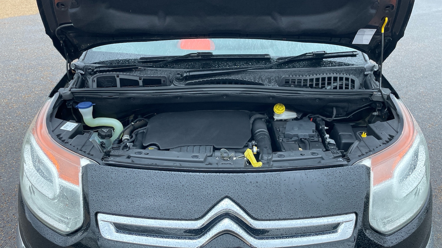 Used Citroen C3 Picasso 2016 for sale - 77560448: Photo 18