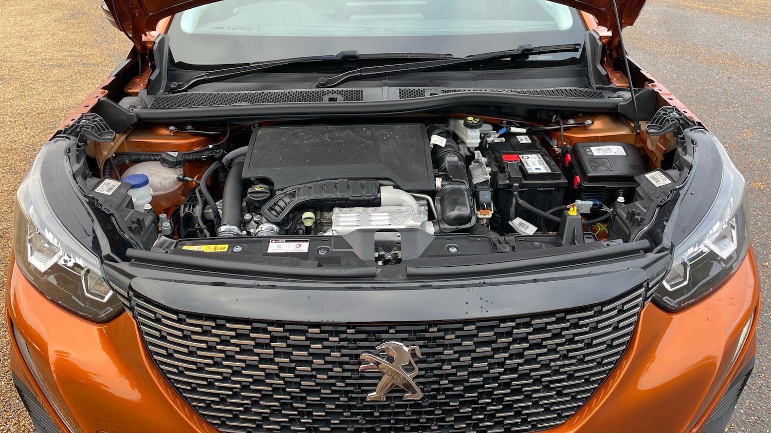 Used Peugeot 2008 2022 for sale - 77075211: Photo 19