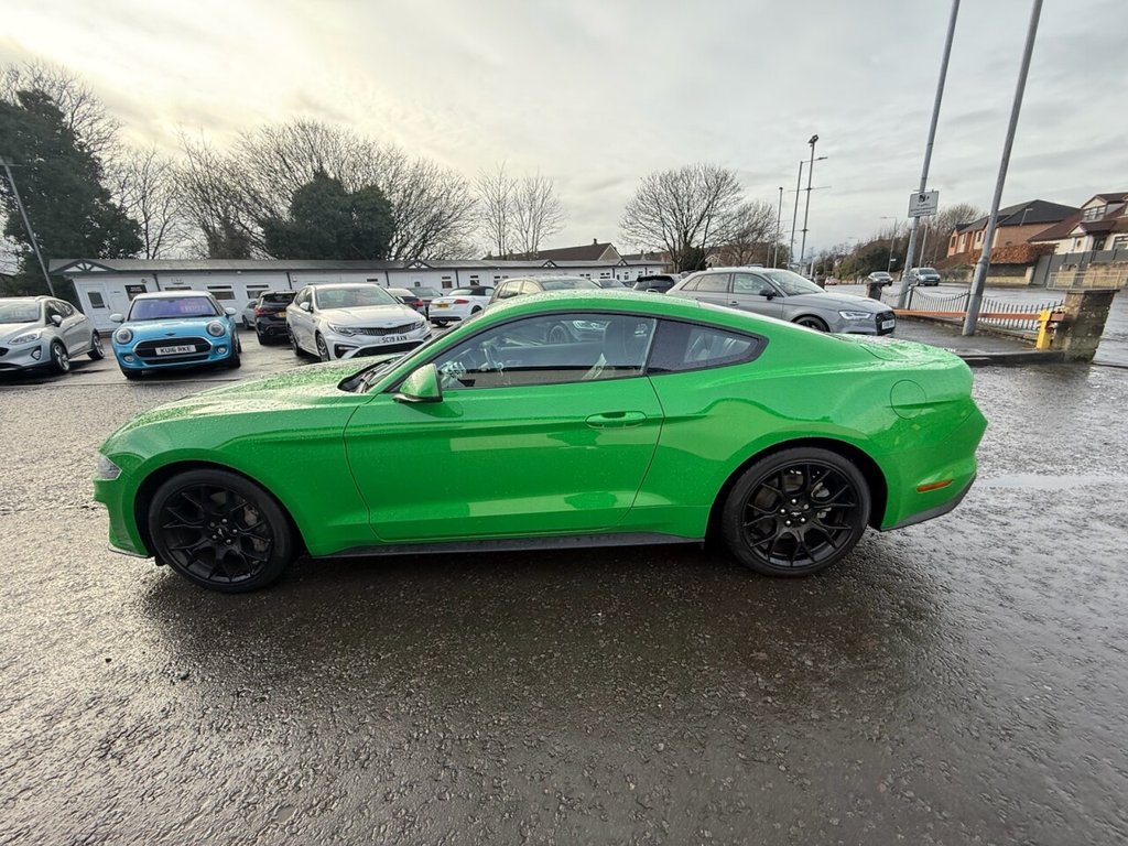 Used Ford Mustang 2019 for sale - 77546752: Photo 8