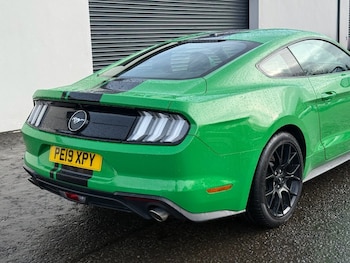 Used Ford Mustang 2019 for sale - 78479585: Photo