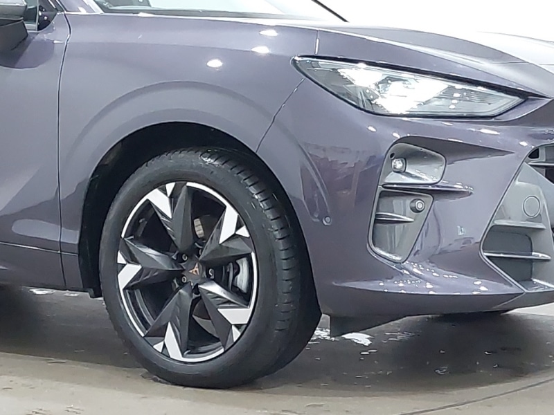 Used Cupra Terramar 2025 for sale - 77290011: Photo 9