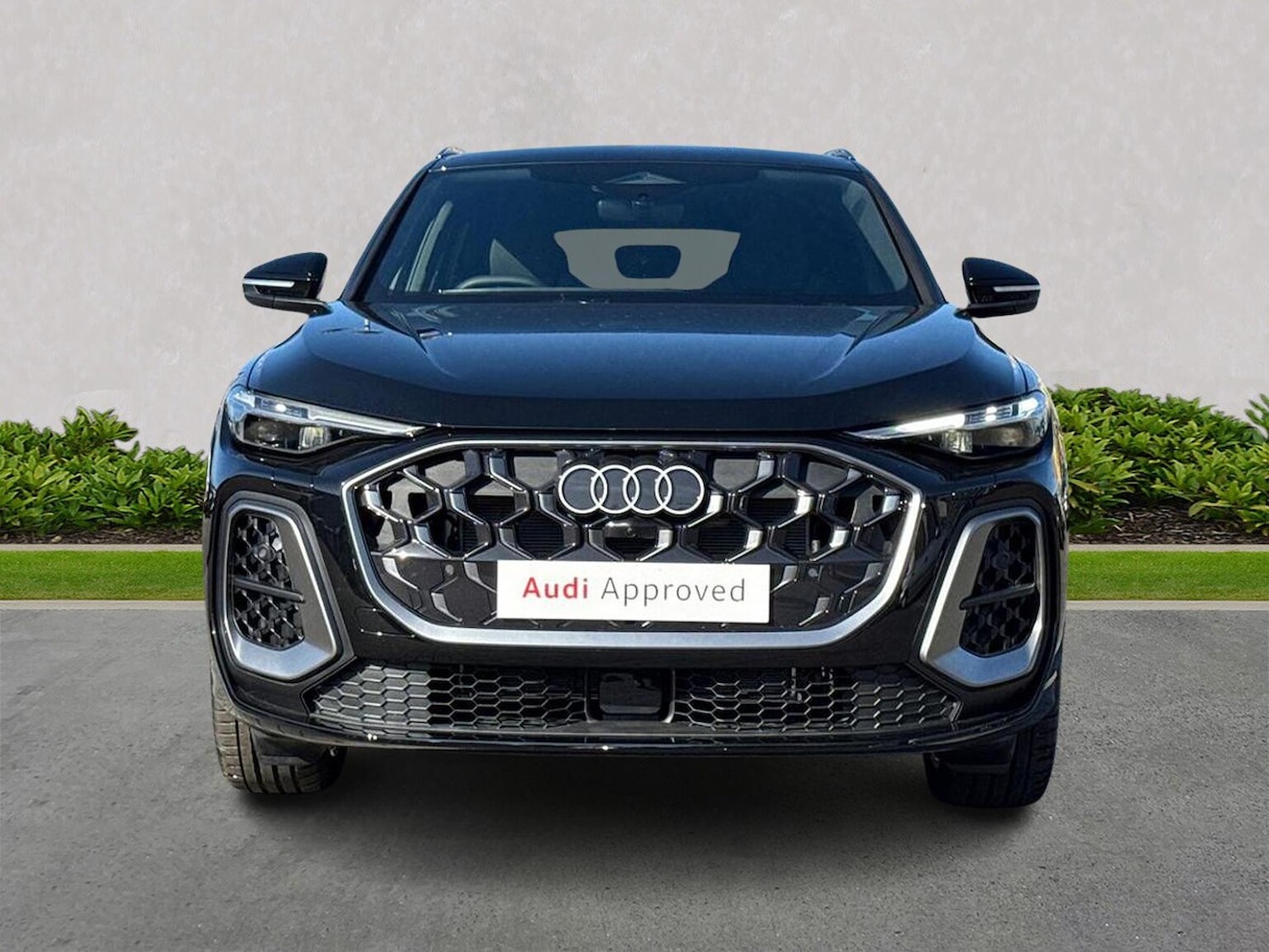 Used Audi Q5 2025 for sale - 76164912: Photo 5