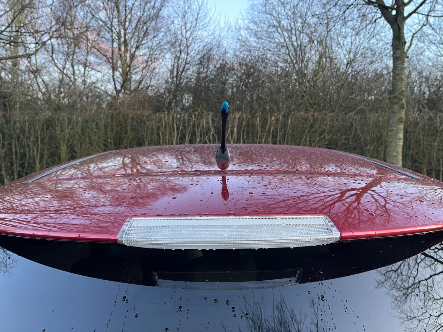 Used Nissan Leaf for sale - 77710131: Photo 37