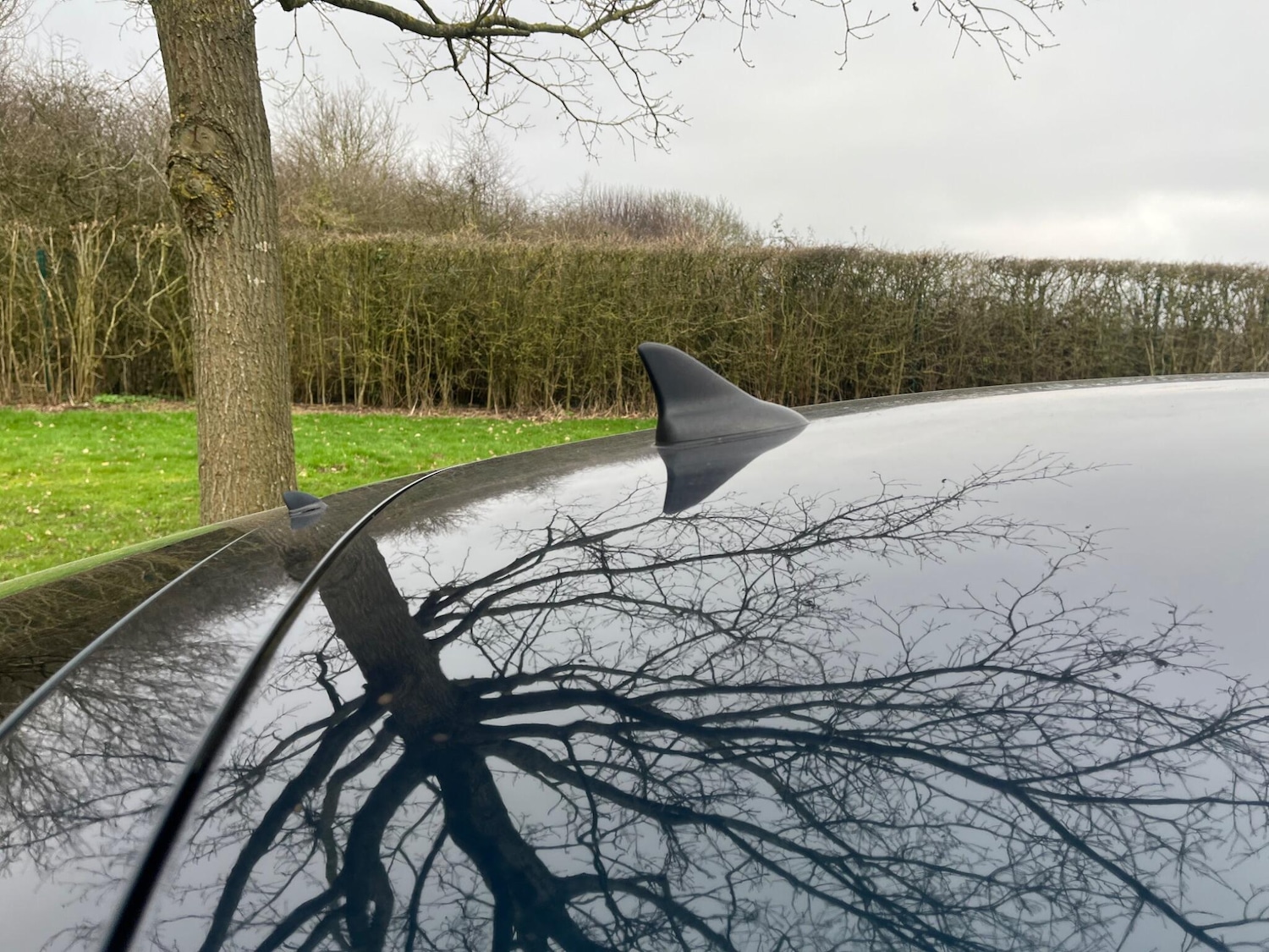 Used Vauxhall Insignia 2015 for sale - 77358811: Photo 48