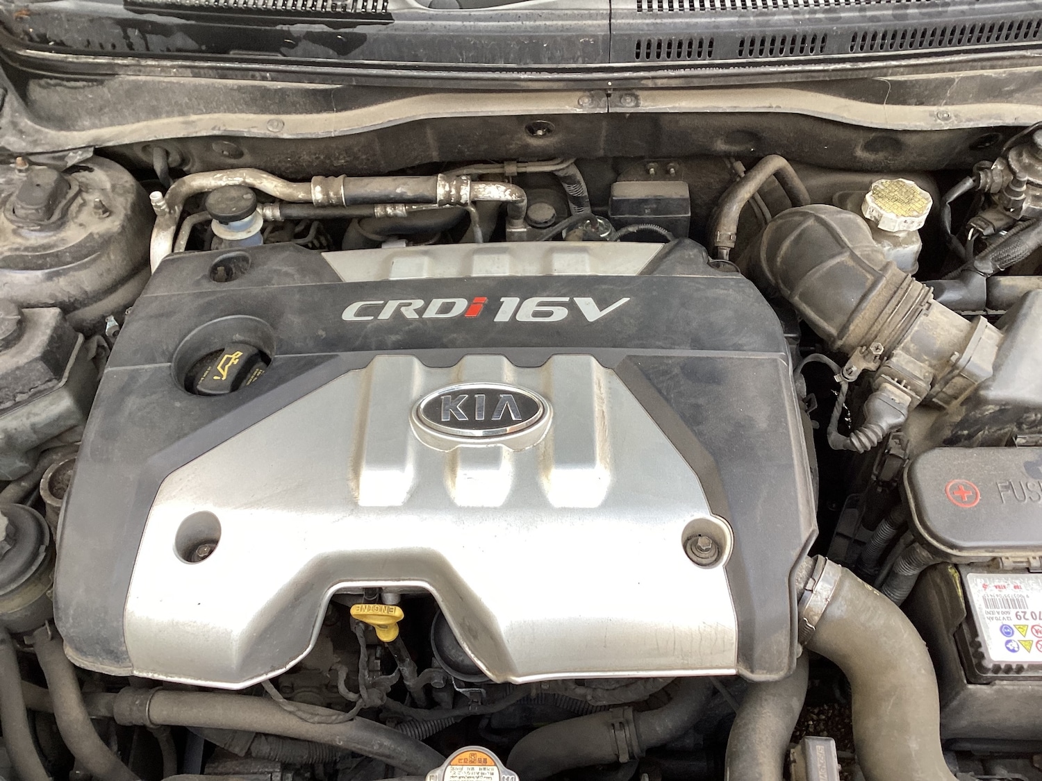 Used Kia Rio 2006 for sale - 76627043: Photo 10