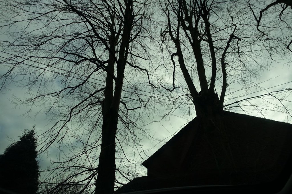 Used Nissan Qashqai 2018 for sale - 77370111: Photo 11