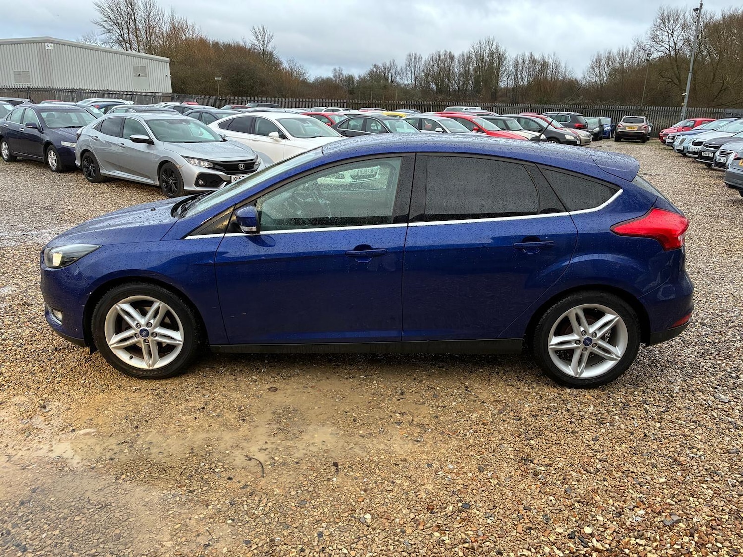 Used Ford Focus for sale - 77671899: Photo 4
