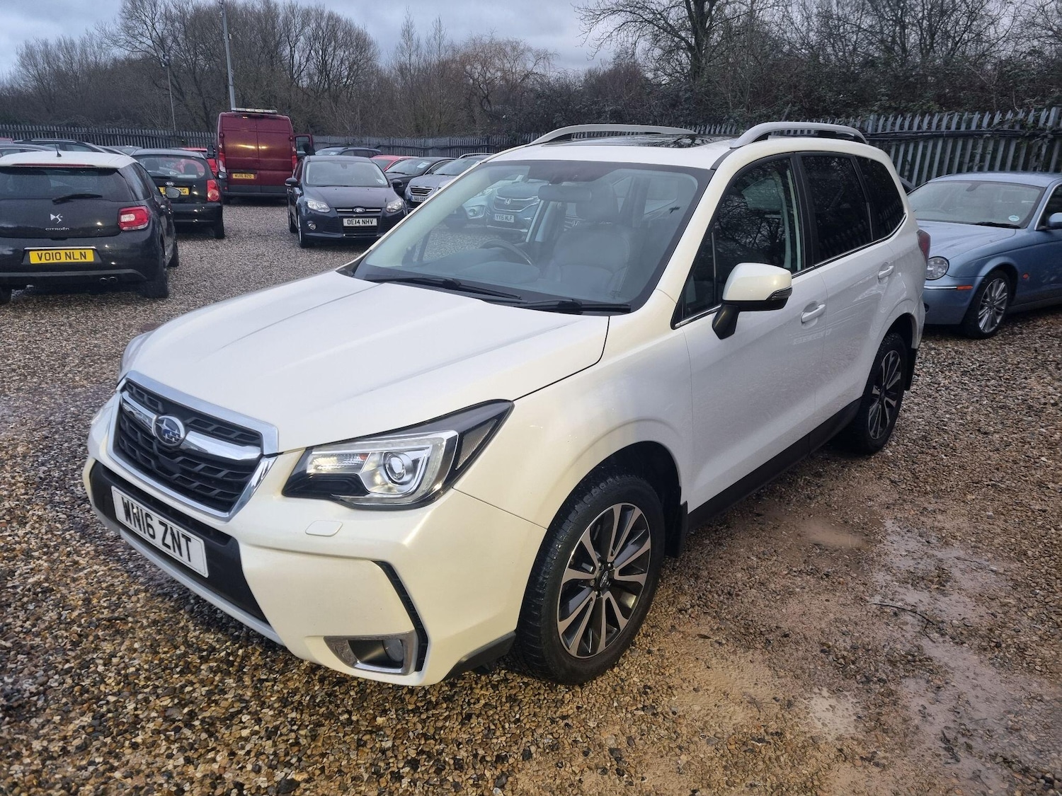 Used Subaru Forester 2016 for sale - 77162733: Photo 3