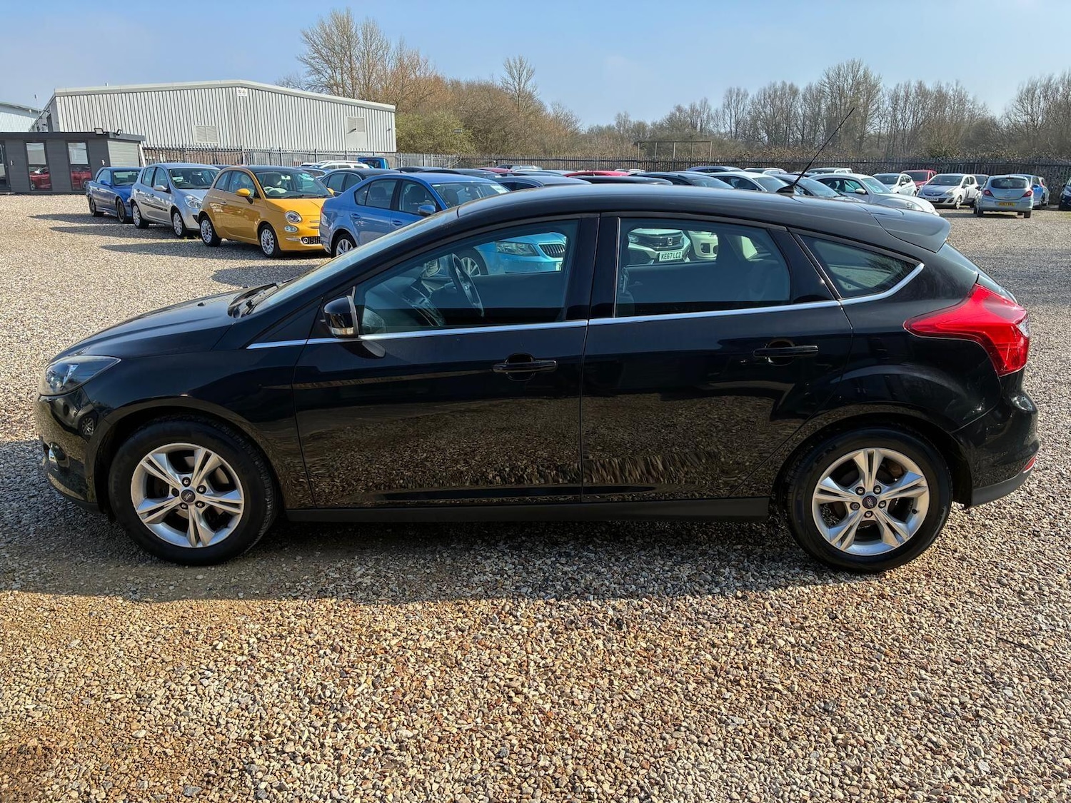 Used Ford Focus for sale - 77753619: Photo 4