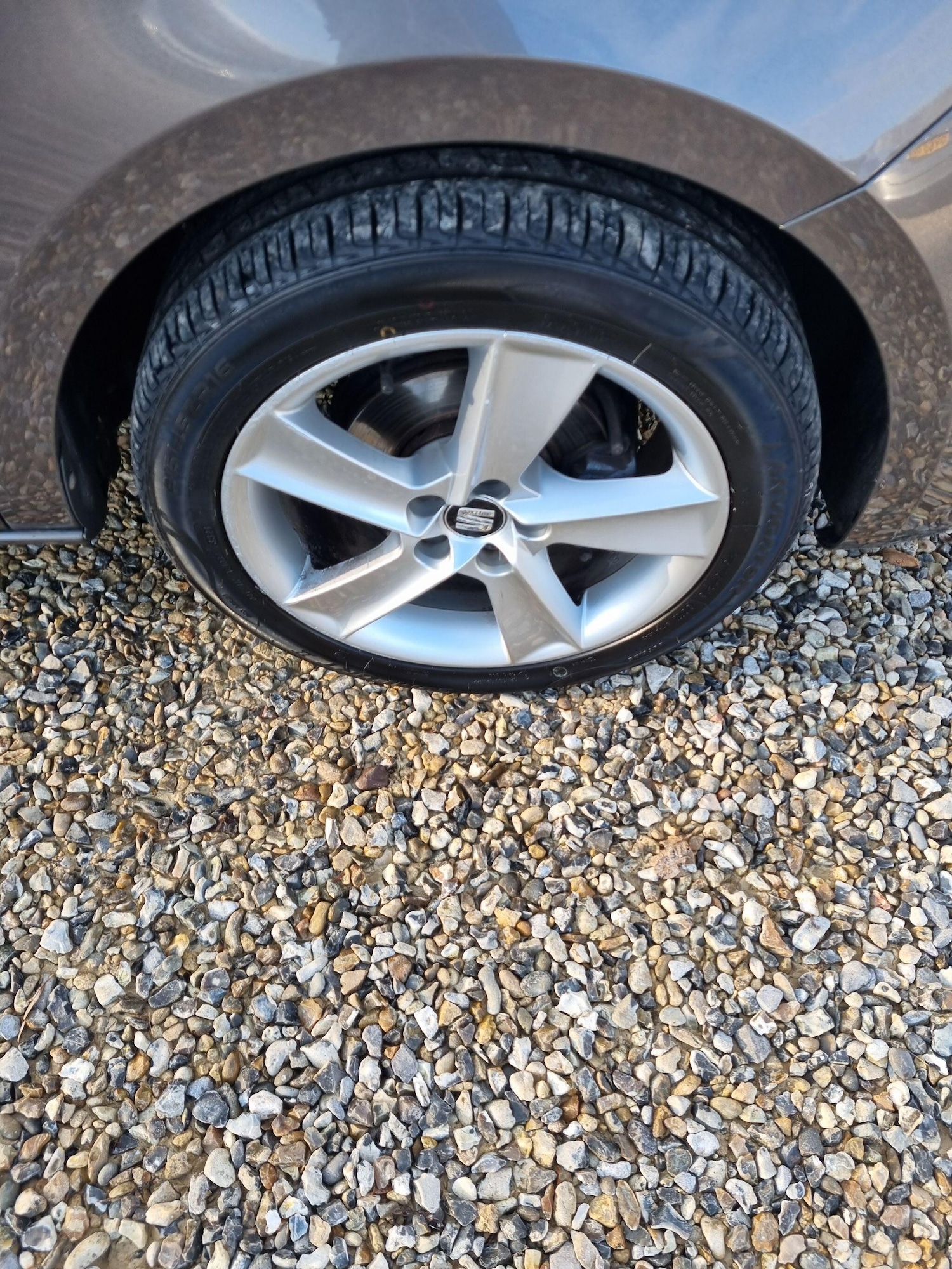 Used SEAT Ibiza 2014 for sale - 76952289: Photo 15