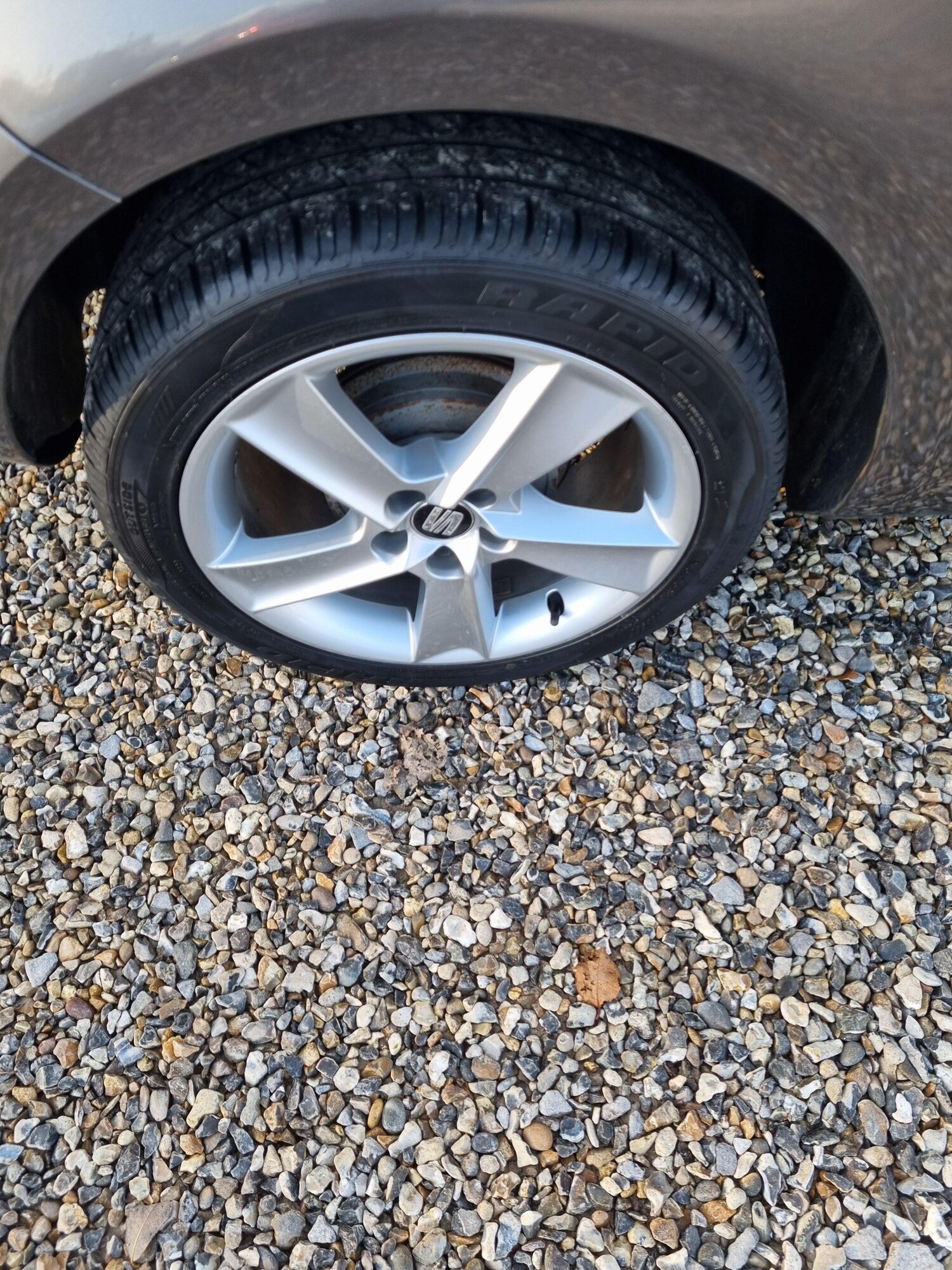 Used SEAT Ibiza 2014 for sale - 76952289: Photo 16