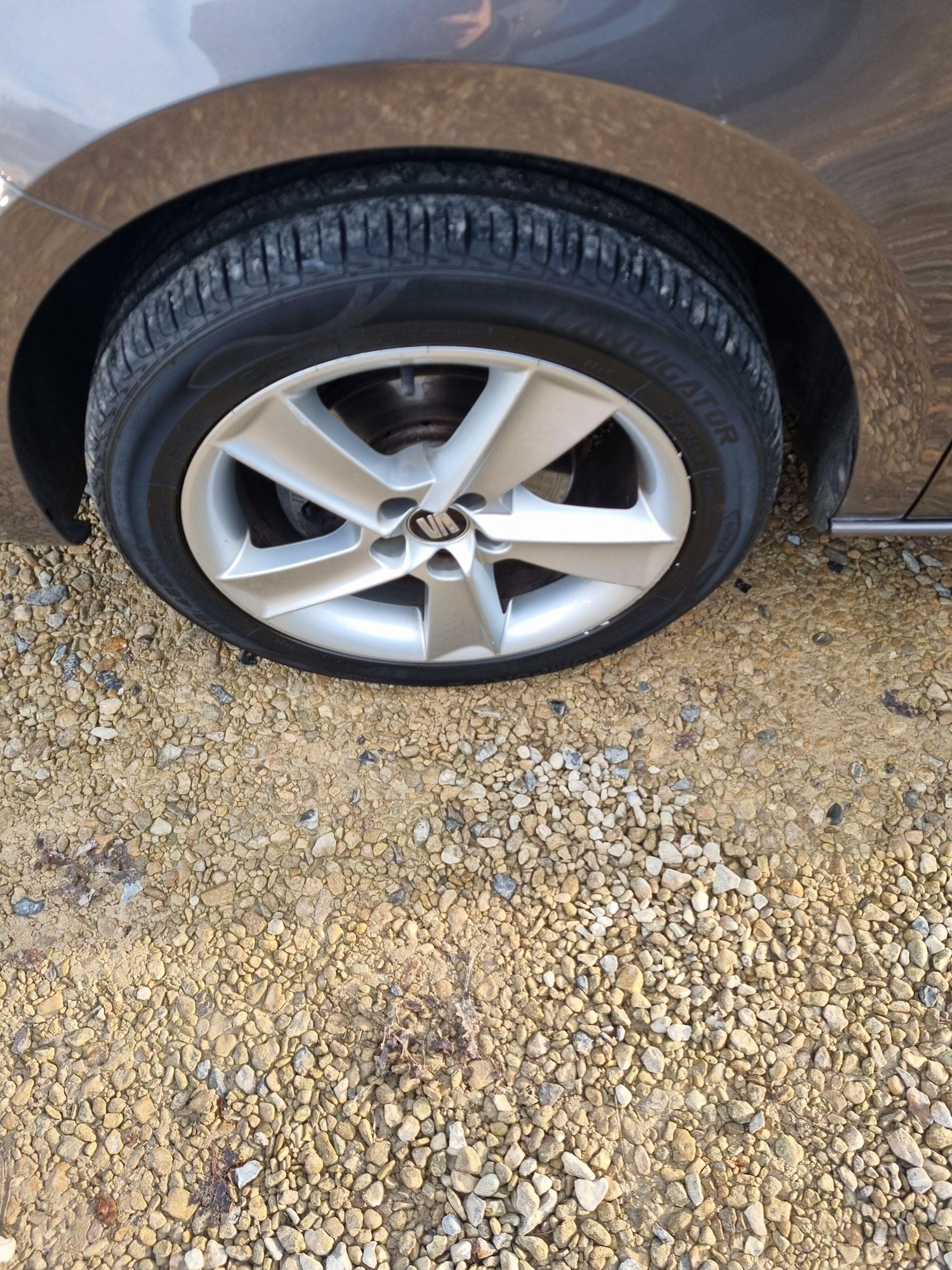 Used SEAT Ibiza 2014 for sale - 76952289: Photo 18